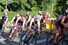 48181928596_194fd1274c_o