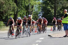 48181931436_7769ea149b_o