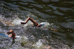 48181932251_31b5bd120b_o