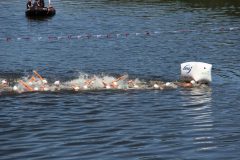 48181997982_a9f17727cc_o