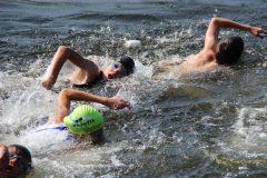 img_1151_42226898785_o