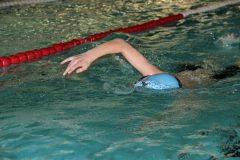 img_0049_39931721481_o