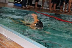 img_0064_28151488789_o