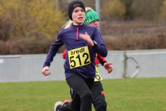 img_27661_33573906608_o