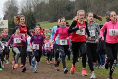 img_0310_41096938622_o