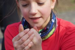 img_8856_39513667080_o