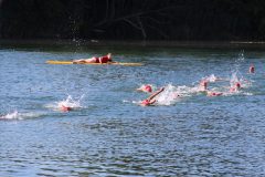 img_1272_42573518074_o