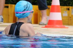 img_0668_42079159041_o