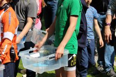 img_3184_46964414705_o