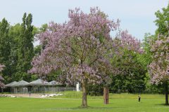 img_3197_47091137504_o