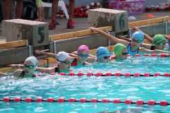 img_4134_48300121297_o