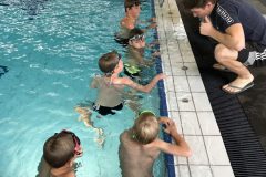 ugbo3pa1rrqr3yyy68diea_43733630190_o