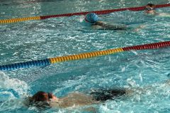 vplv0d4bqigjcjljuu6wpg_31678636158_o